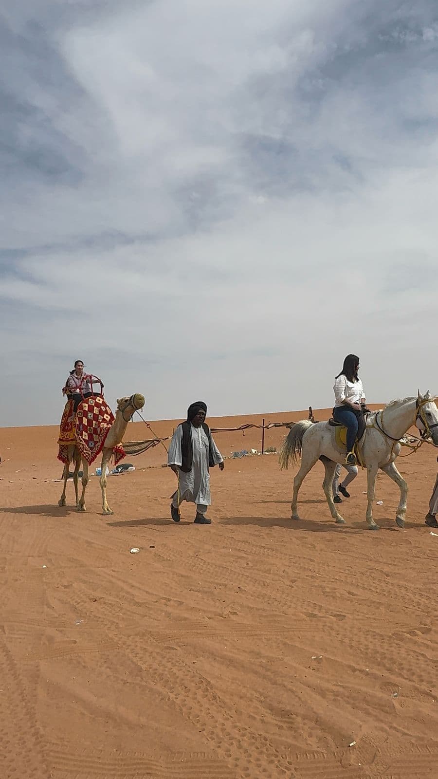 جولة سفاري في الرياض