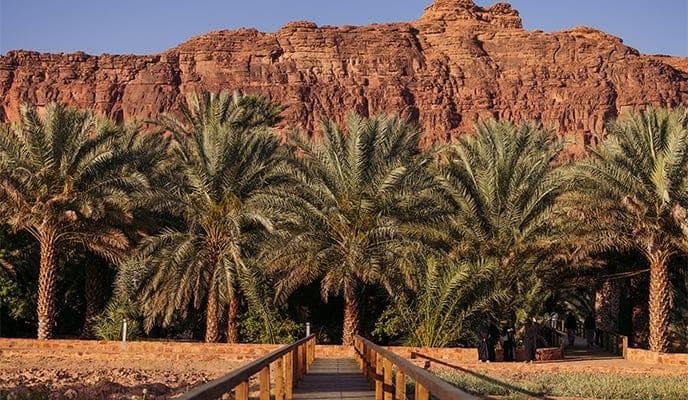 العُلا: جولة مسار الواحة التراثي